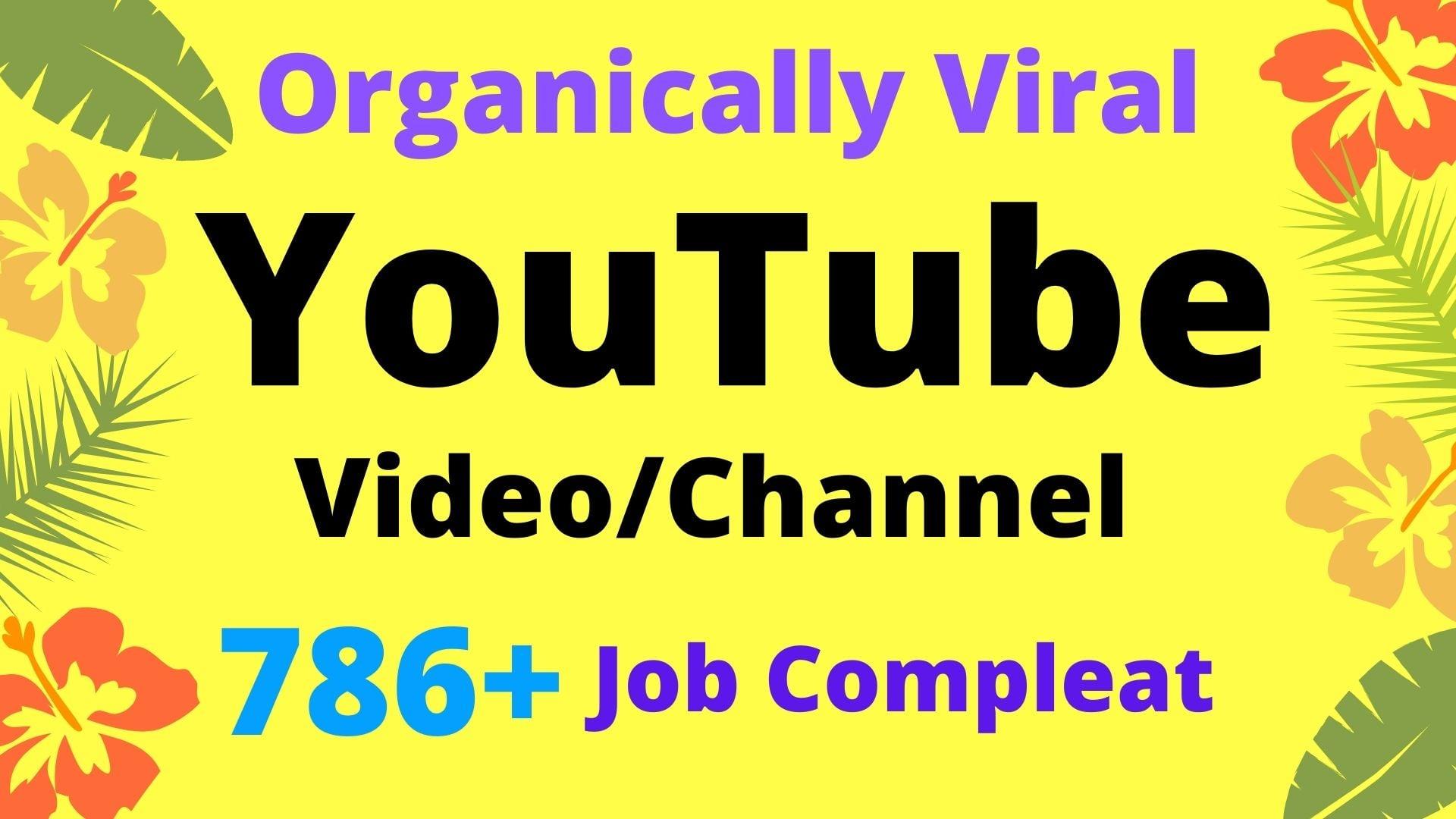 I will do organic YouTube video promotion and YouTube SEO
