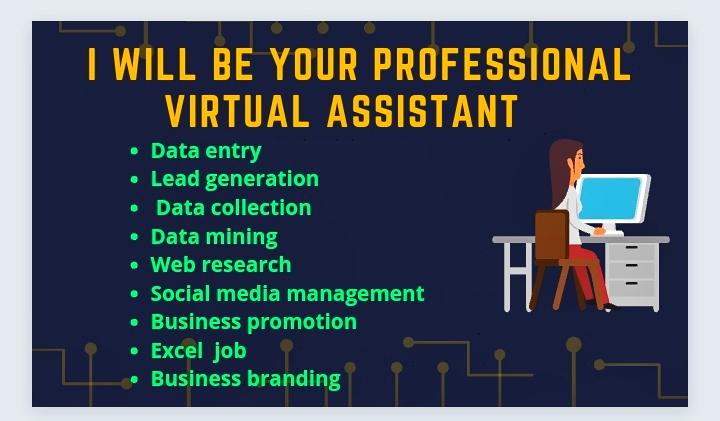 I will be your smart & professional virtual assistant for lead collection 