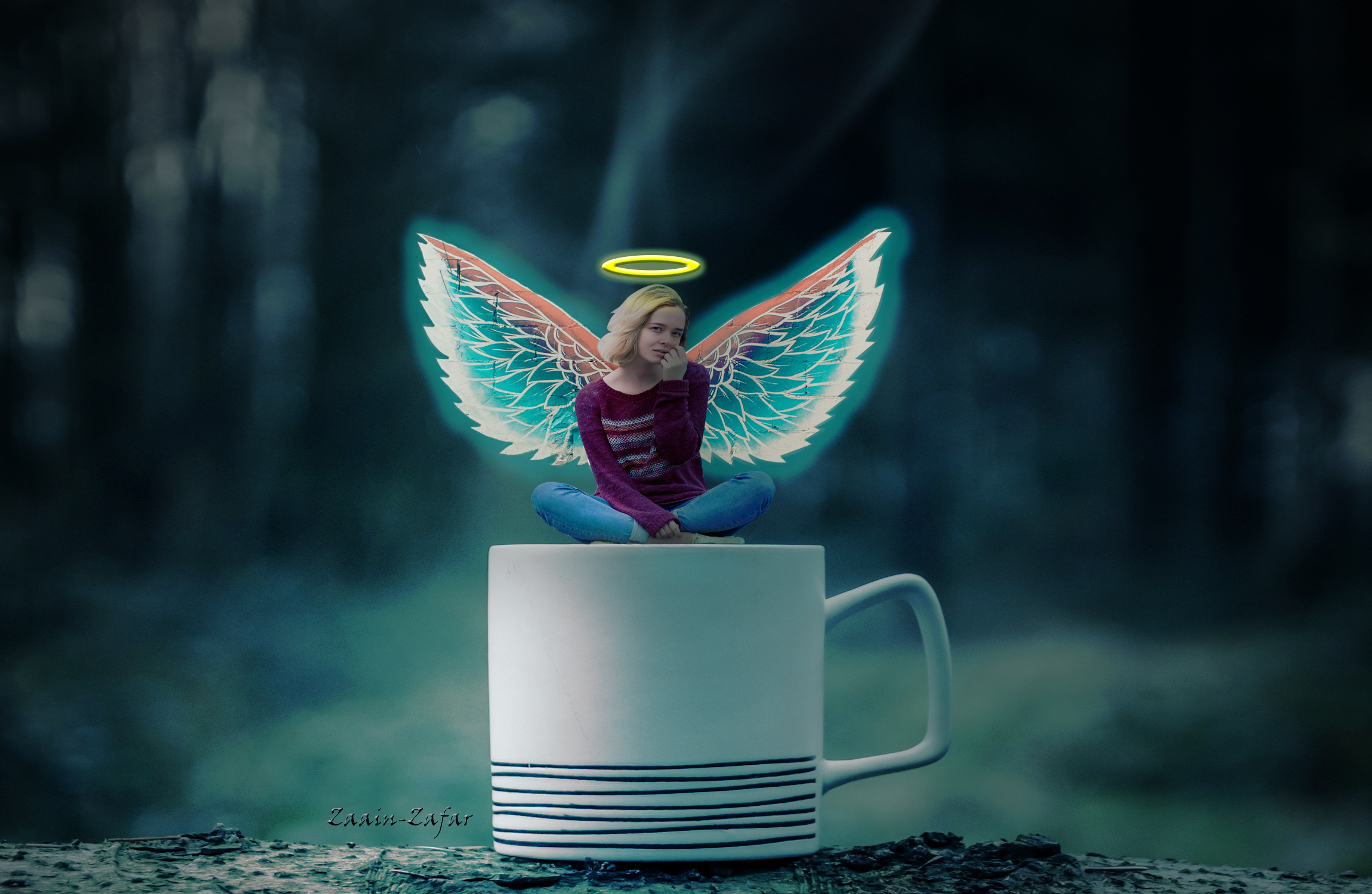 i will do perfect Photoshop manipulation and color balance