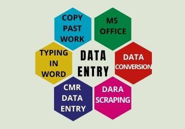 I will do data entry|copy past|MS office work for you in a short time