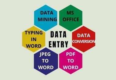 I will do data entry|copy past|MS office work for you in a short time
