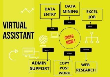 I am virtual assistant. Contact us to understand the work of any of your DATA ENTRY, EXCEL JOB.