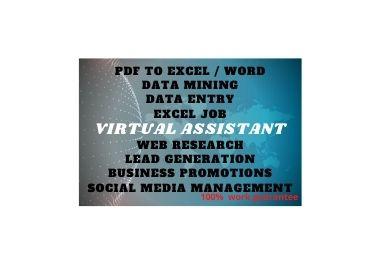 I am virtual assistant. Contact us to understand the work of any of your DATA ENTRY, EXCEL JOB.
