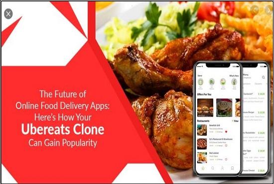I will develop a food delivery app, grocery delivery app, fast food delivery app