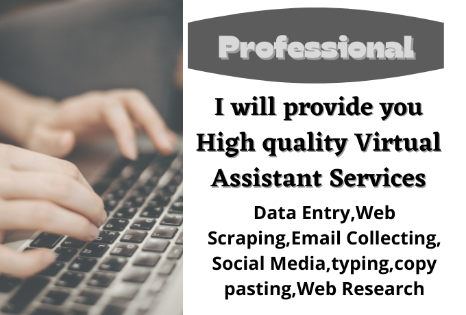 I will provide HQ Virtual Assistant Services 