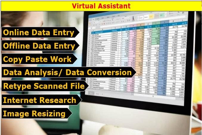 I will do perfect excel data entry, data analysis, typing and internet research