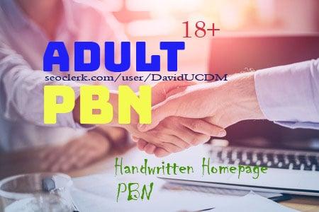 25 Adult 100 Percent Handwritten Homepage PBN Backlinks