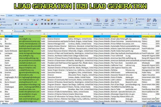 I will do b2b lead generation, web research and targeted lead generation