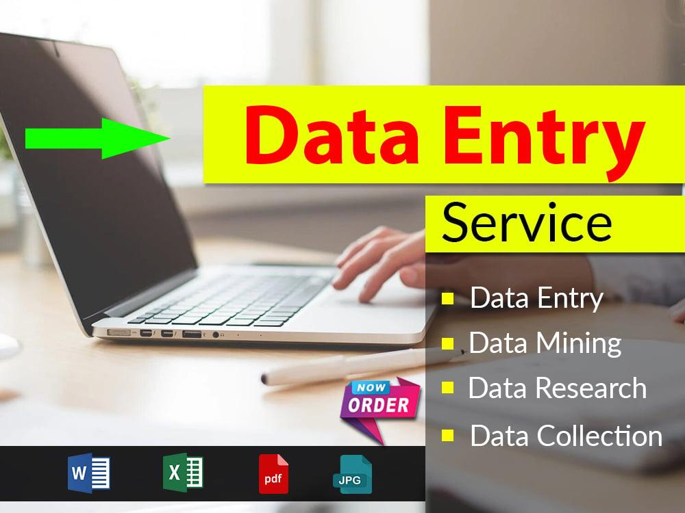 I will provide ms excel data entry service