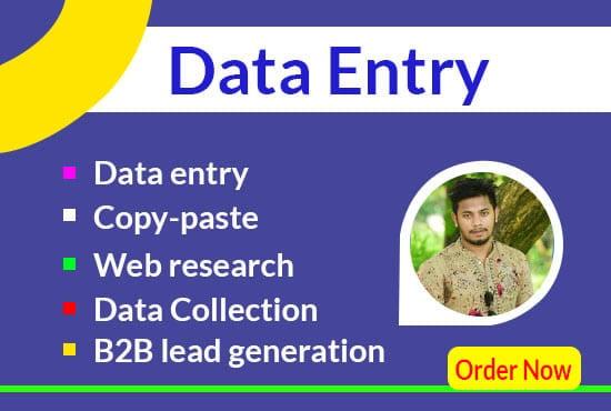 I will do accurate data entry, copy paste, and fast typing work