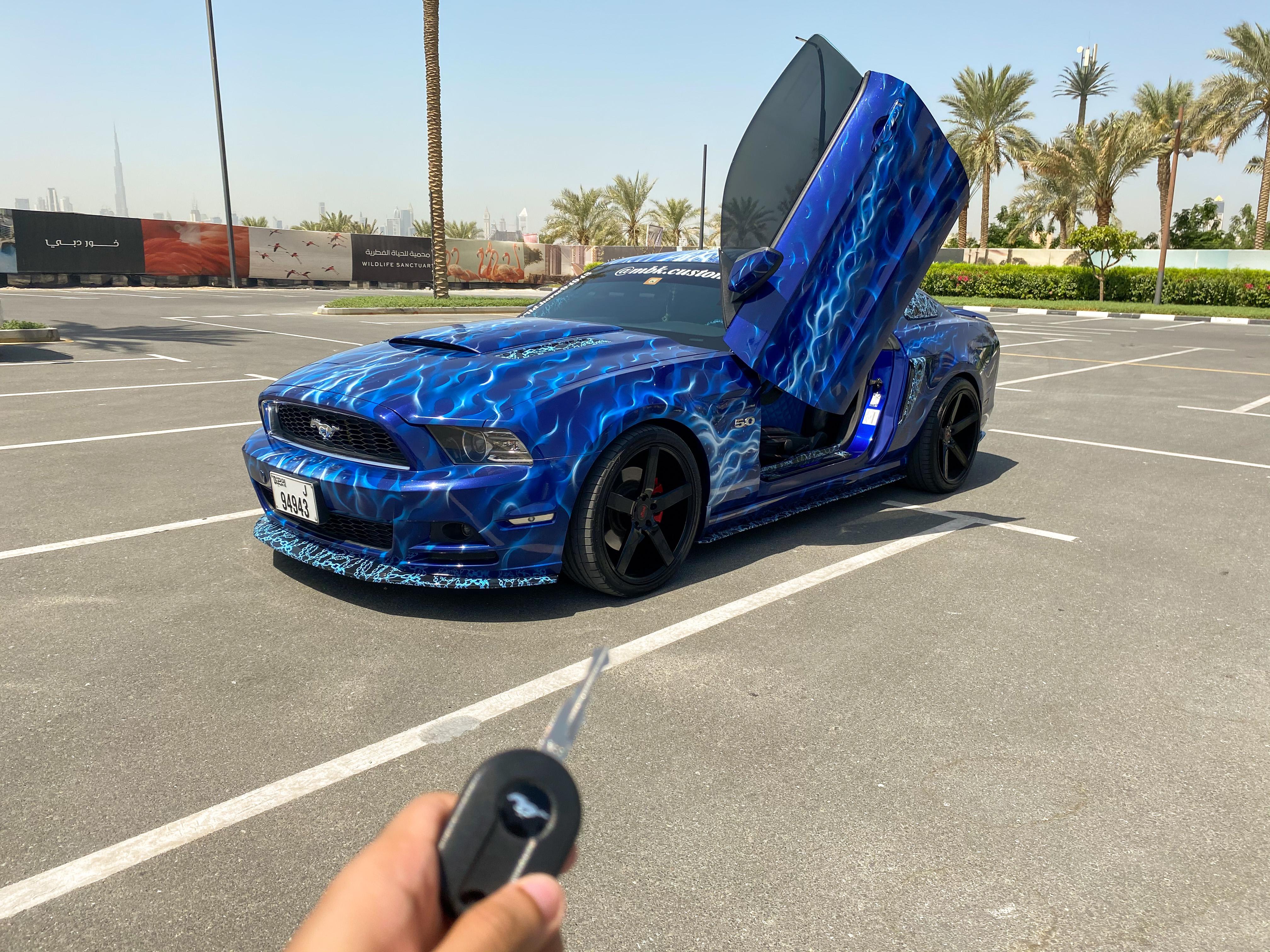 Cinematographer & Videographer 