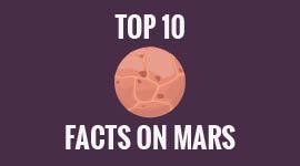 PREMIUM&Professional Animated- & Whiteboard Videos