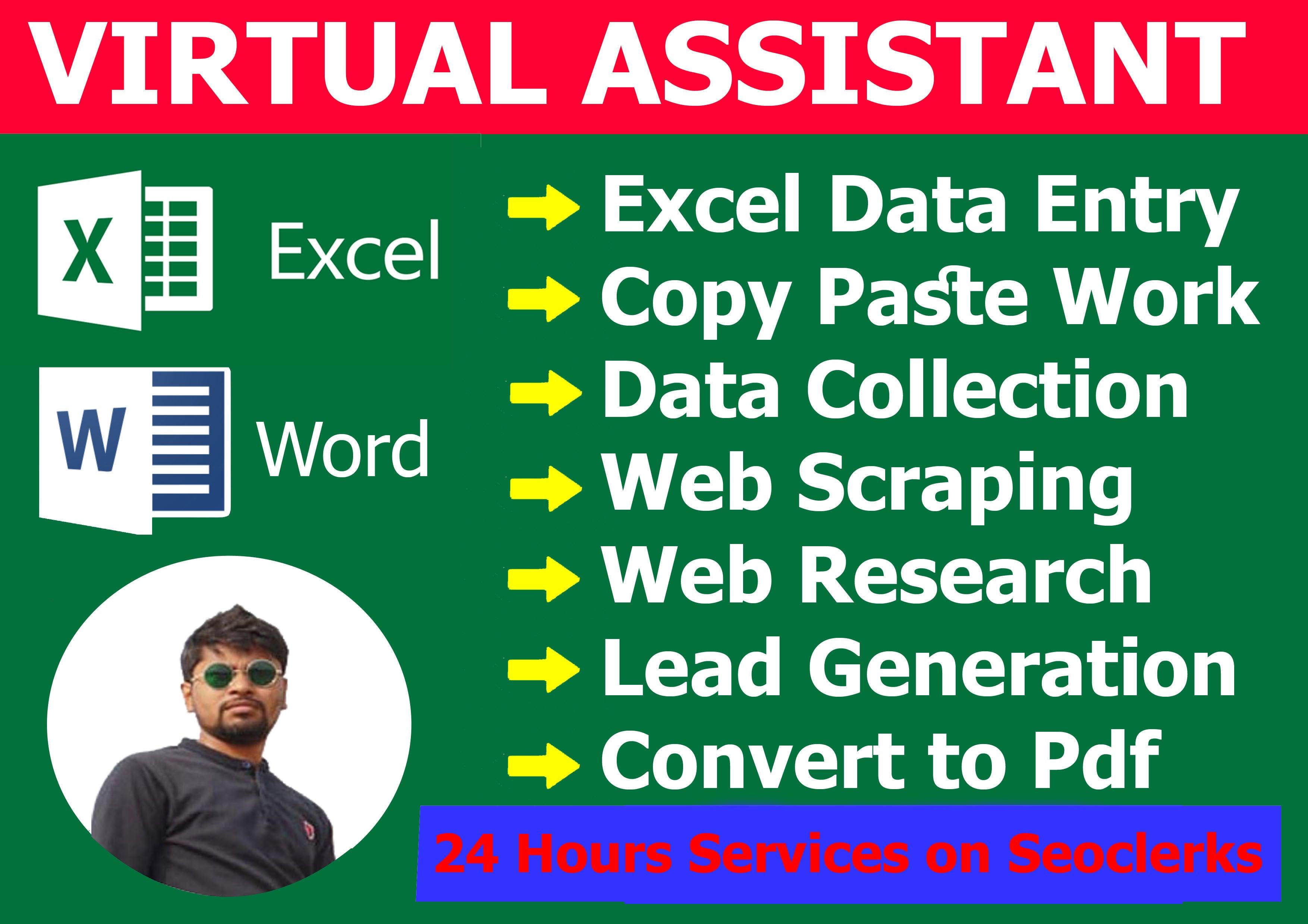 I will do data entry, typing, copy paste, data collection