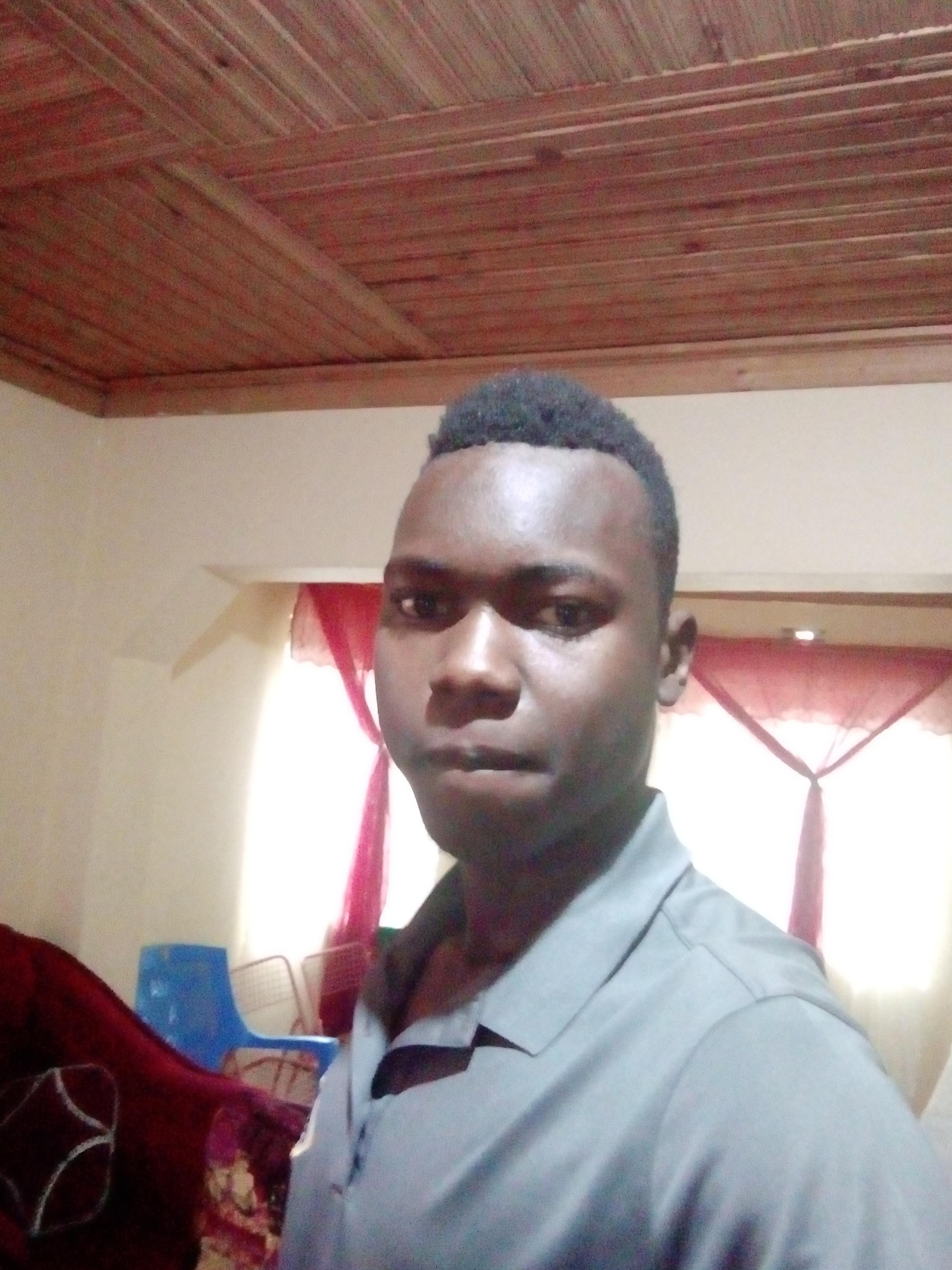 500 to 1000 article writting that is completed only within a day order now