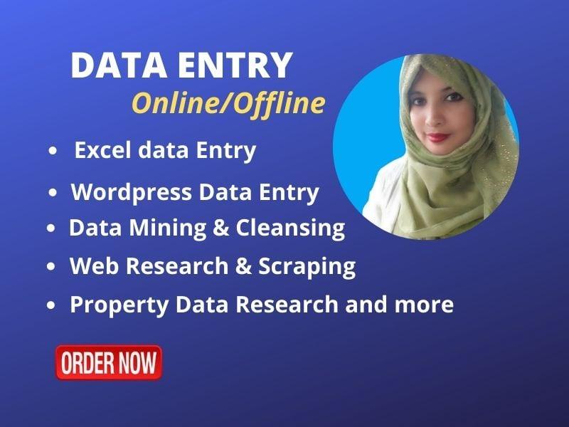 I will be your virtual assistant for Data Entry, web research & scraping