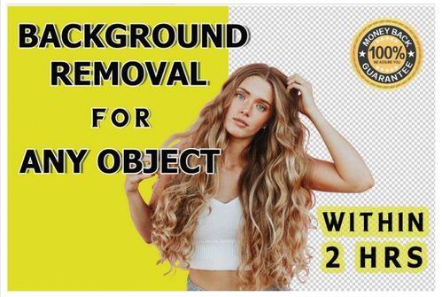 I will remove or change background of any image professionally