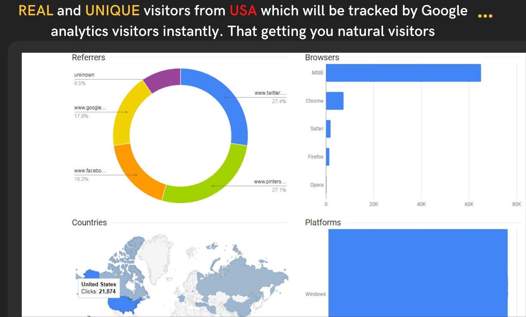 I will drive 2000 organic USA targeted traffic to your web or blog site