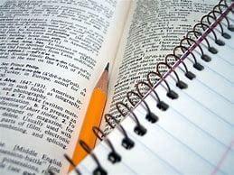 500 words unique and manually written premium article