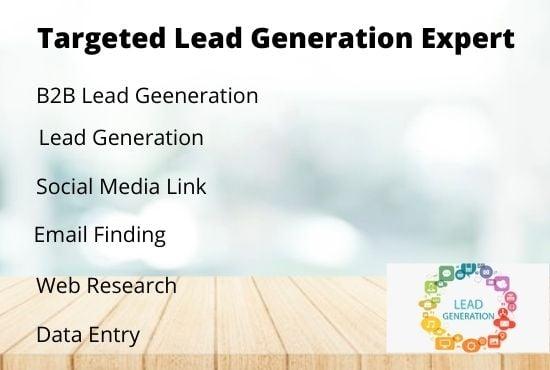 I will do b2b lead generation , web research and tergated lead generation