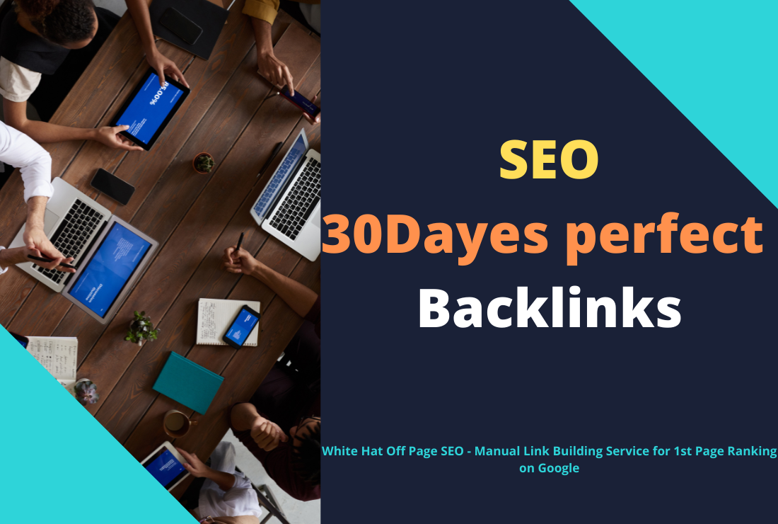 I will do monthly off-page seo service 
