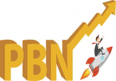Premium Top ranking 100 Unique PBN dofollow homepage parmanent backlinks