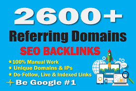 I will build safe way 2600 unique referring domain SEO backlinks for you