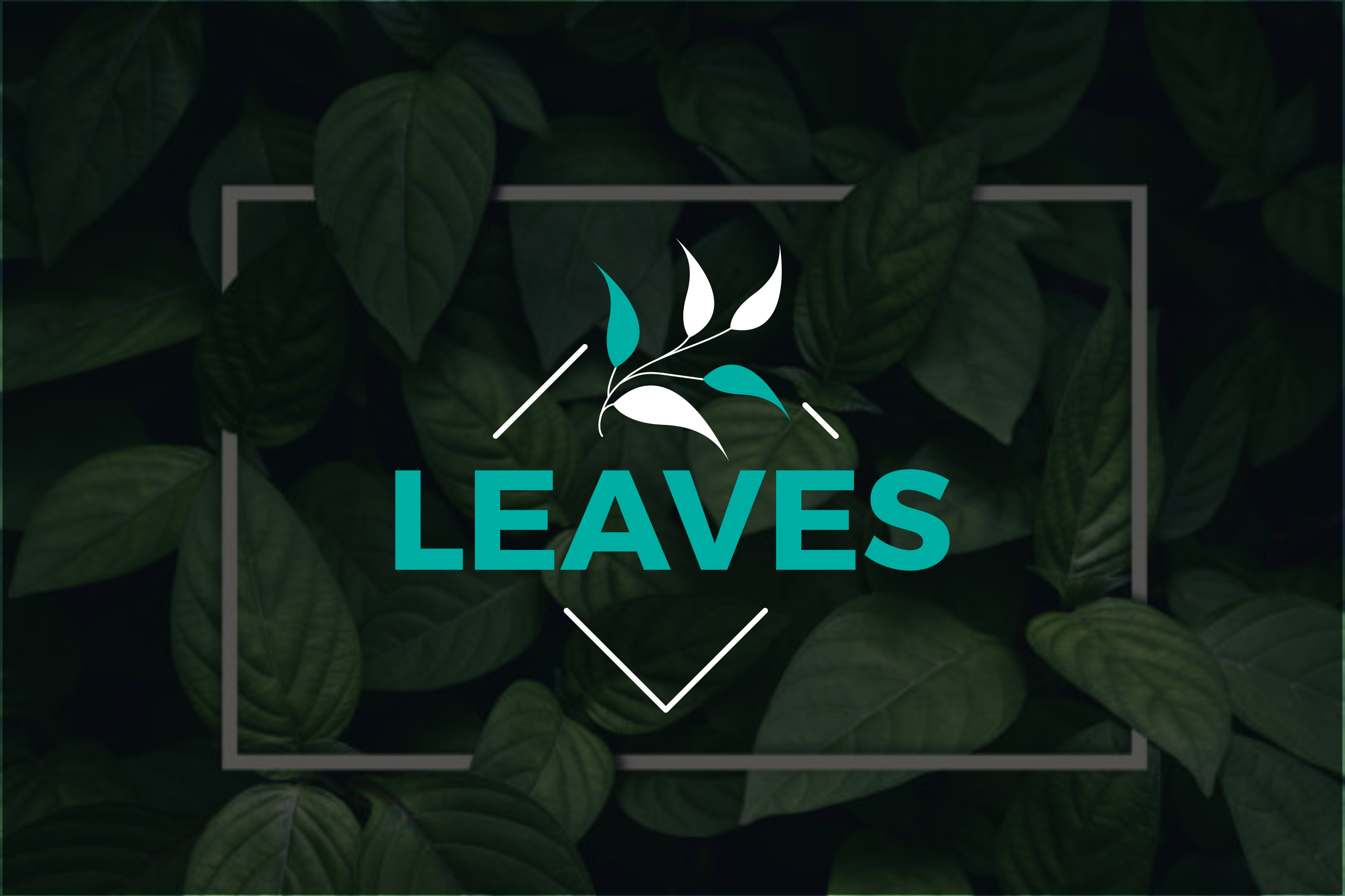 I will do 3 unique minimalist logo design with free source files