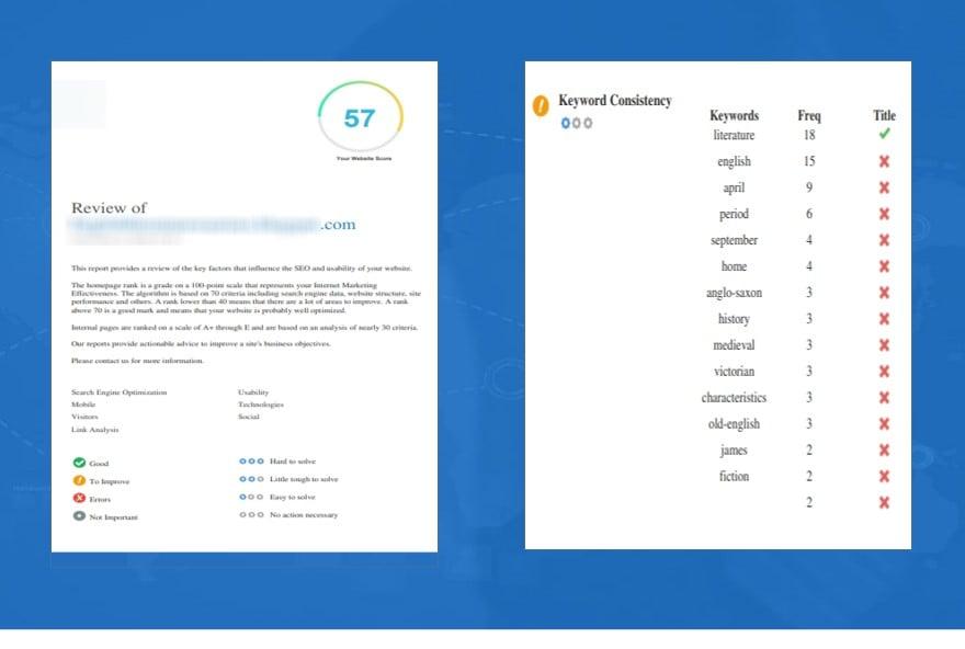 I will provide expert professional full website SEO audit report and website analysis