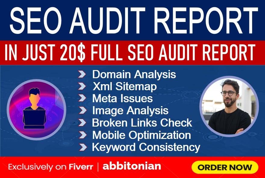 I will provide expert professional full website SEO audit report and website analysis