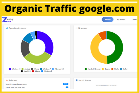 4,000 Hight quality real visitors Adsense safe and organic web traffic