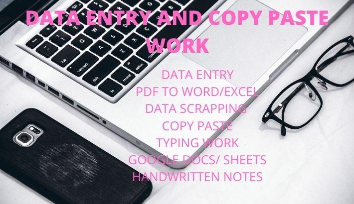 I will do excel data entry, copy paste work and typing