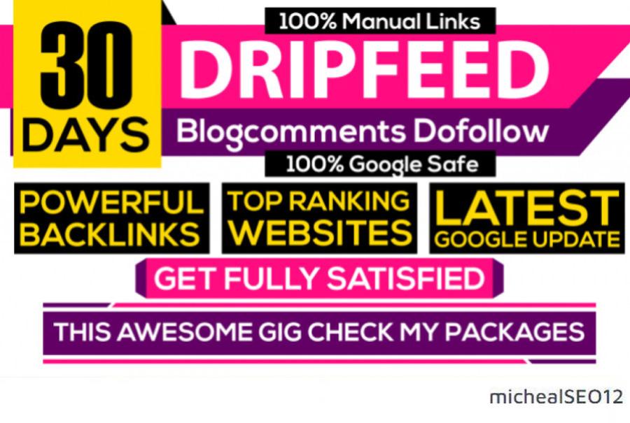 I Will DO 30 Days SEO Backlinks Package High Quality Links 100%