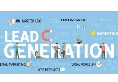 I will do b2b lead generation 50 targeted lead 