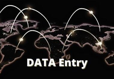I will do professional data entry, copy paste and typing.