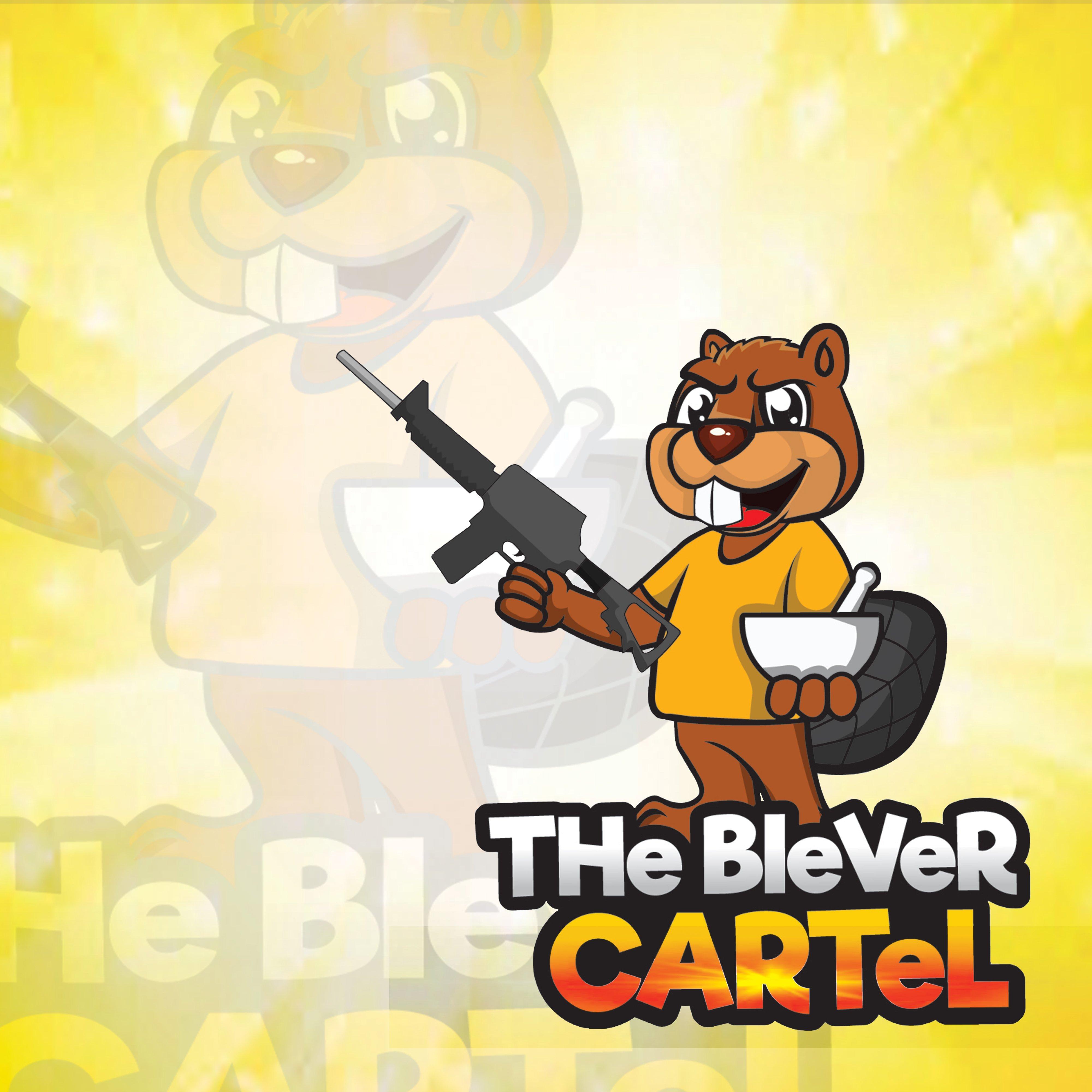 I will design premiun cartoon/mascot logoes