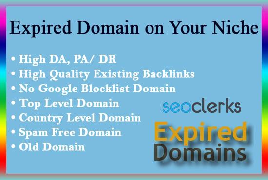 I Can Provide You the Best 'Expired Domain' Name Research on Your Niche