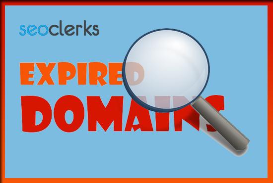 I Can Provide You the Best 'Expired Domain' Name Research on Your Niche
