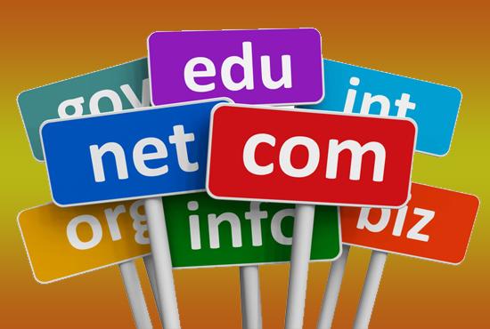 I Can Provide You the Best 'Expired Domain' Name Research on Your Niche
