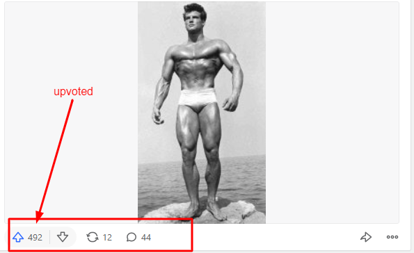 Offer Guaranteed targeted traffic with high-quality 5 Quora answers