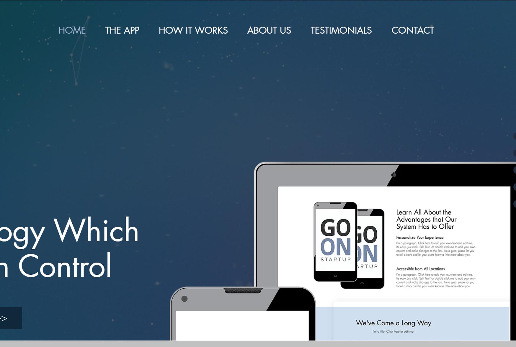 I will design or redesign professional wix website