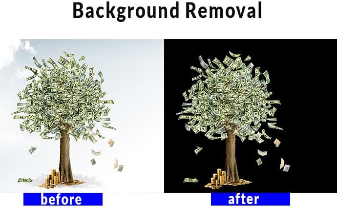 I can do background removal from 20 images by doing Clipping Path
