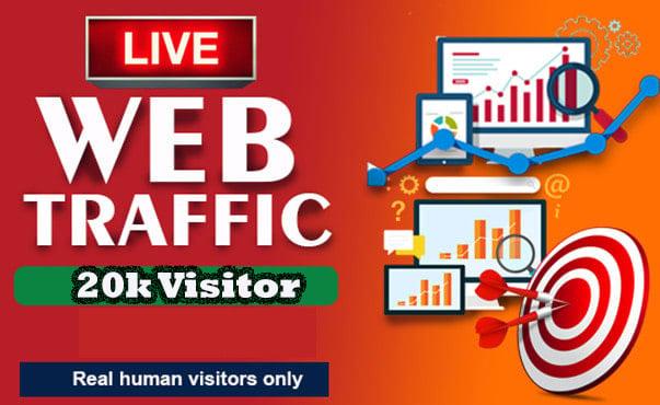 I will send 20k web traffic visitor to web pages by special package your website