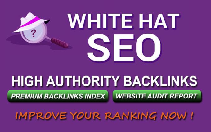  Do manual 15 high authority web2.0 niche White Hat dofollow contextual SEO backlinks