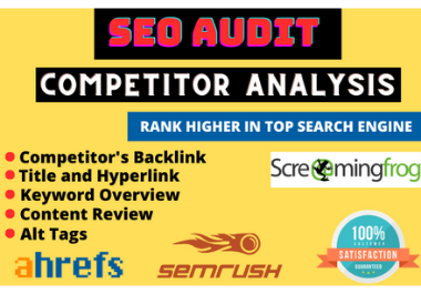 I will provide expert SEO report, website audit and competitor analysis