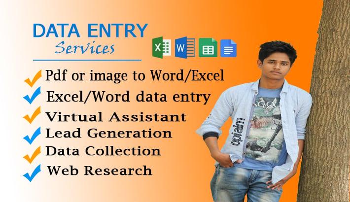 I will do data entry, internet research, web research, lead generation works