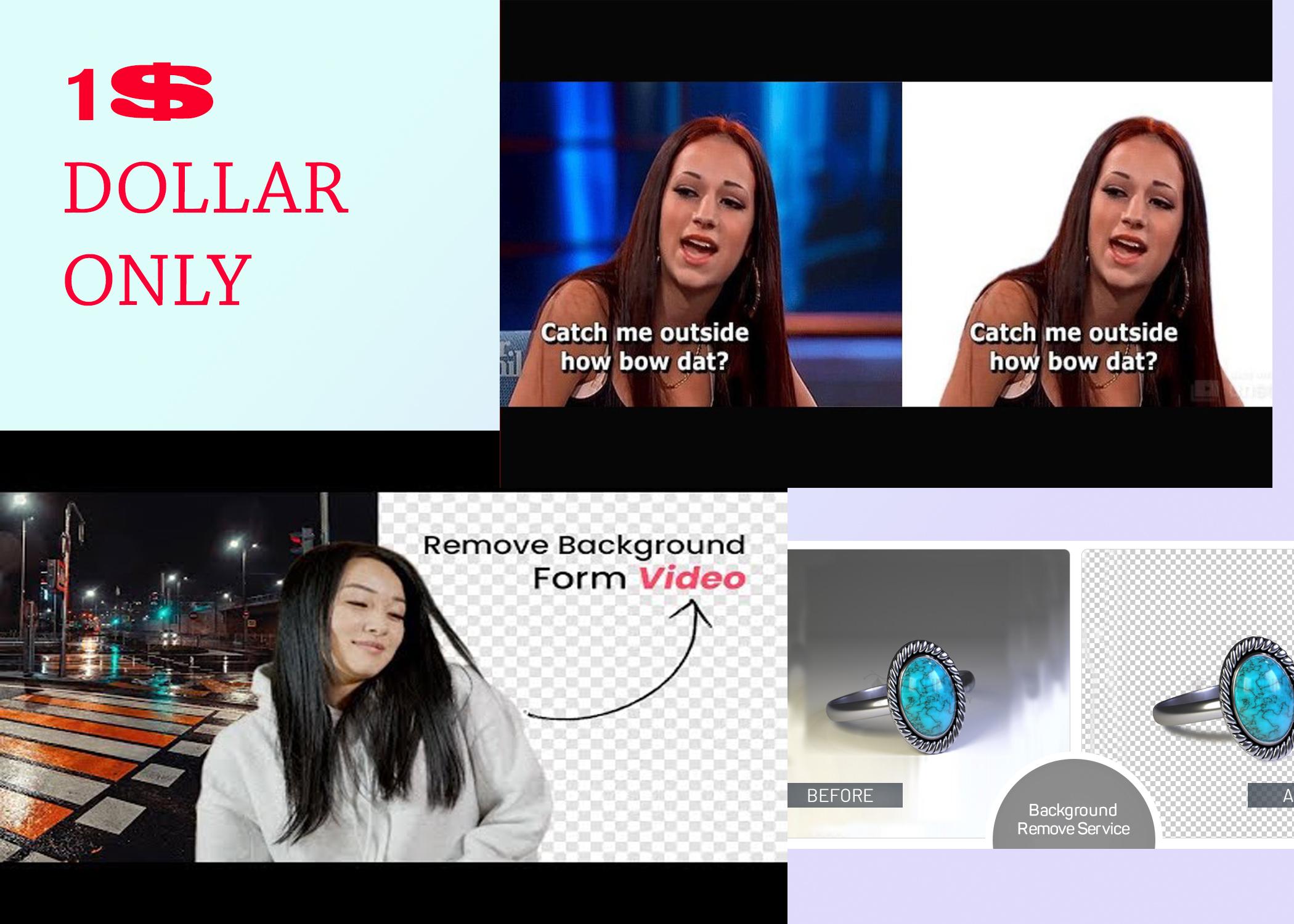 I will do 500 images background removal professionally