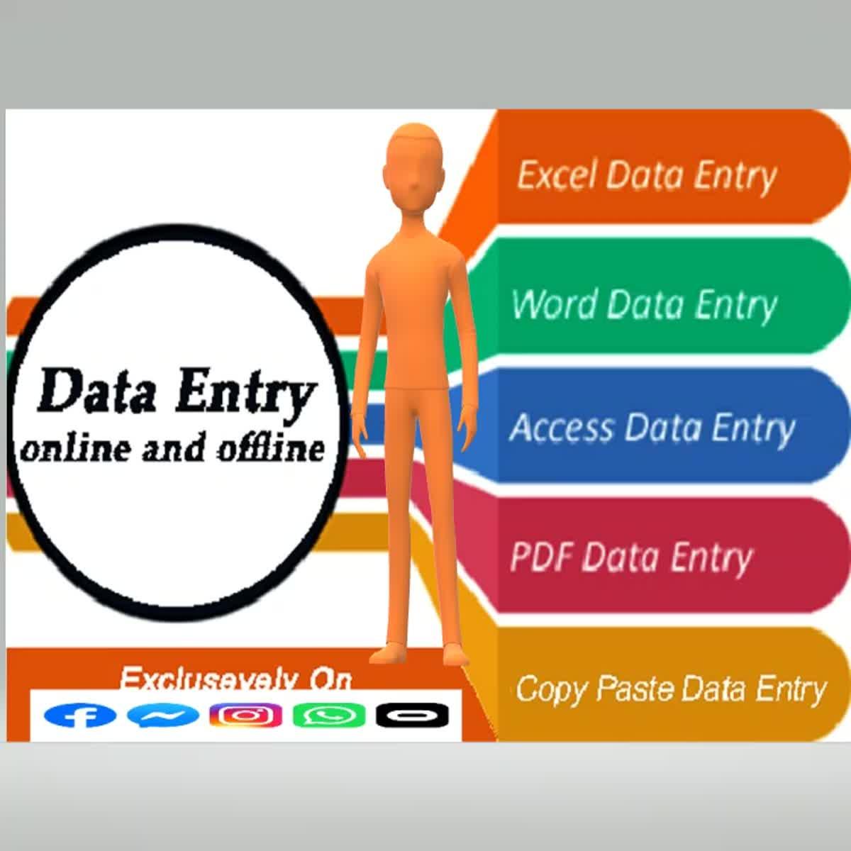 I will do any kind of data entry most accurately
