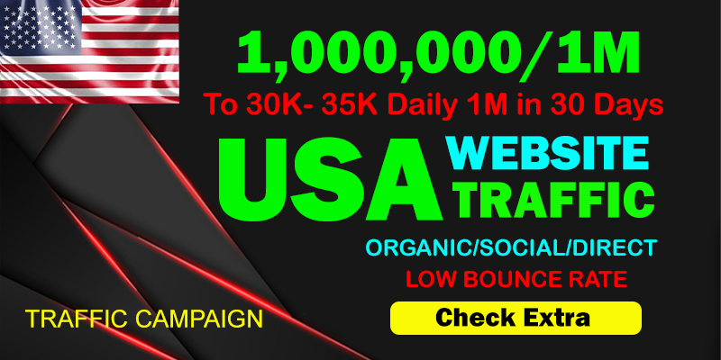 I will Drive Organic 1,000,000 (1 M) Traffic From The USA To Your website within 10 days.