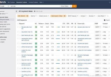 Profitable Keyword Research Service for any Nice & Excellent Action Plan 