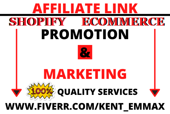 I will do affiliate promotion ecommerce marketing shopify marketing digistore USA Audience